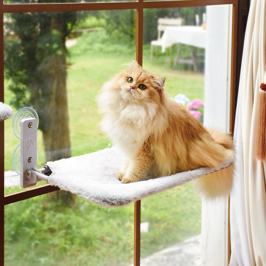 PawPerch Fenêtre — Perchoir Chat à Ventouse
