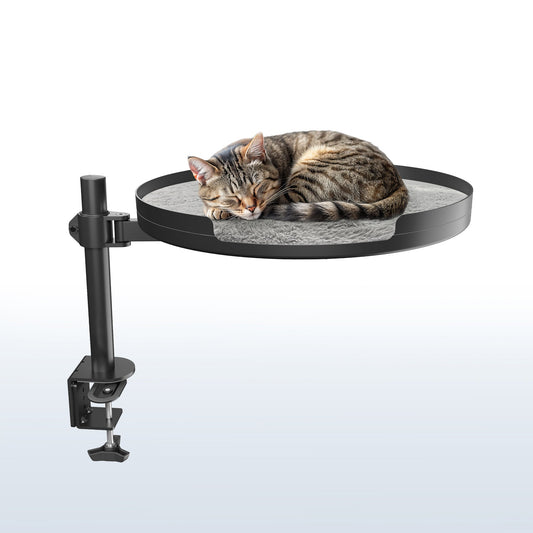 PawPerch XL — Lit de Bureau Grand Chat