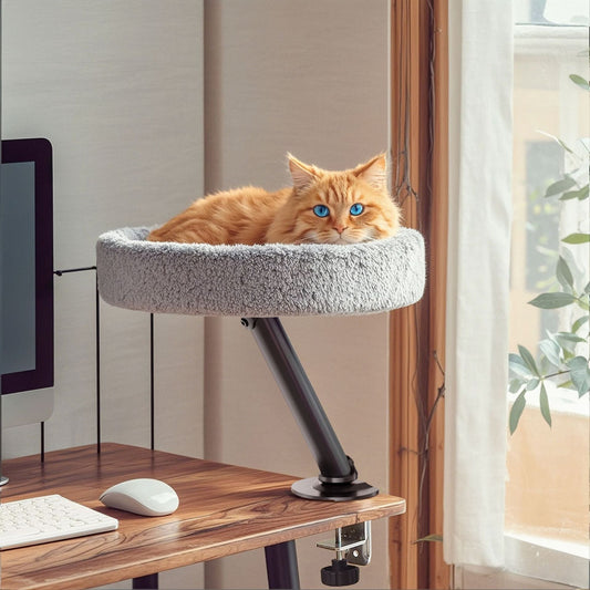 PawPerch Classique — Lit de Bureau pour Chat