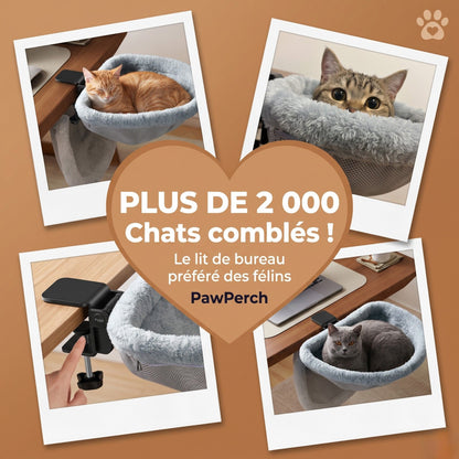 Plus de 2000 chats comblés avec PawPerch Pliable — le lit de bureau préféré des félins avis clients