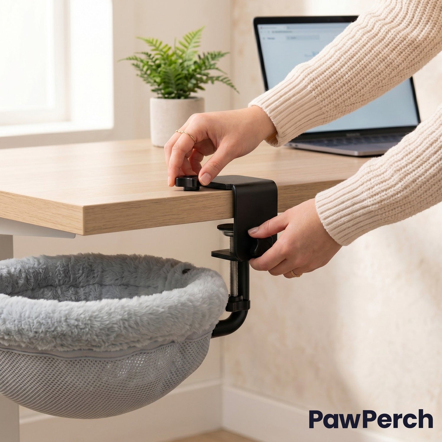 Installation lit de bureau PawPerch avec pince clamp sans percer - zéro trou zéro trace sur le bureau