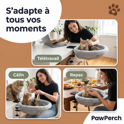 PawPerch Pliable pour télétravail câlin et repas — lit de bureau pour chat qui s adapte à tous vos moments